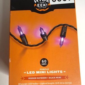 Hyde and Eek 60ct LED Mini String Lights Purple